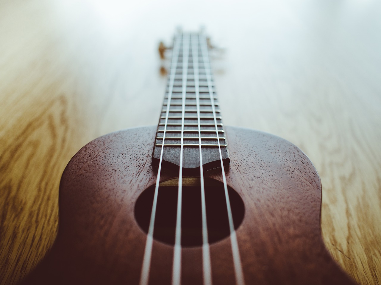 ukulele, music, instrument, ukulele, ukulele, ukulele, ukulele, ukulele